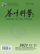 茶叶科学杂志