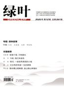 绿叶杂志