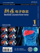 肝癌电子杂志